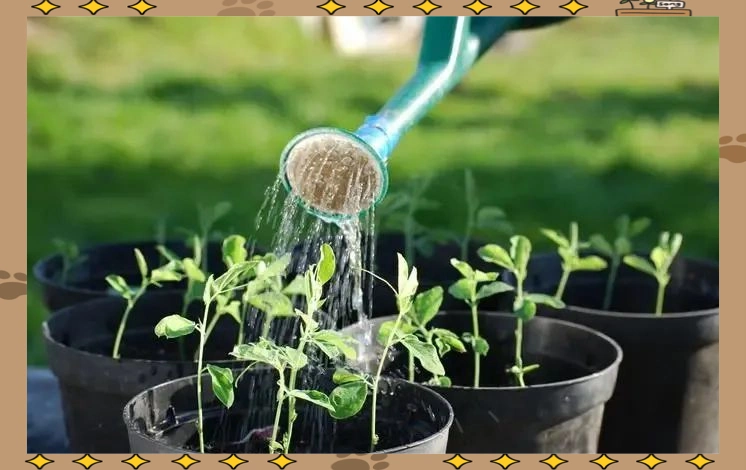 生活节能环保措施_节能妙招助力环保_绿色低碳节能生活